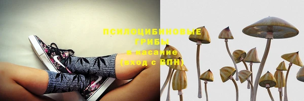стаф Кодинск