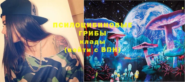 стаф Кодинск