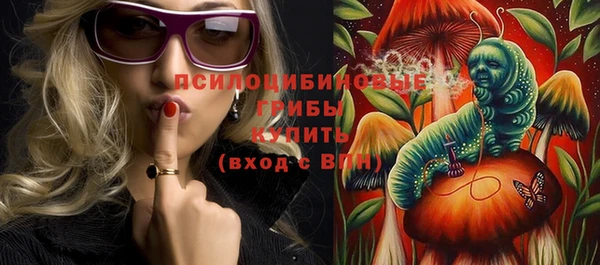 амф Костерёво