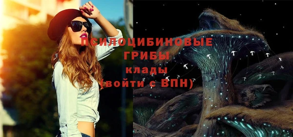 первитин Коряжма