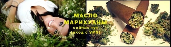 амф Козельск