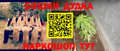 стаф Камень-на-Оби