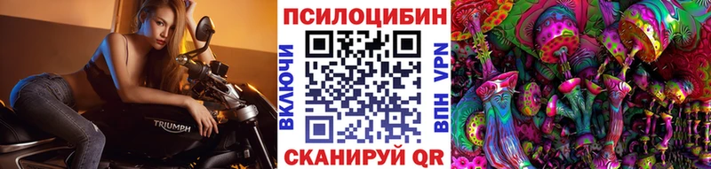 Купить  Киреевск  Галлюциногенные грибы Cubensis 