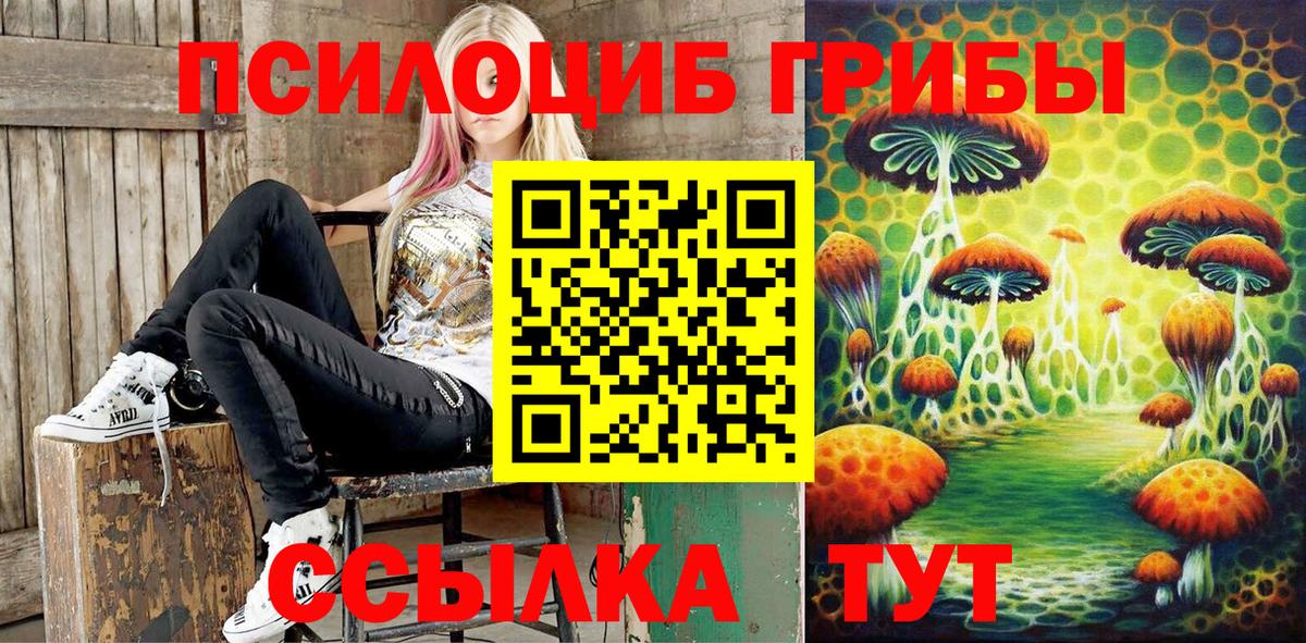 Псилоцибиновые грибы Psilocybine cubensis Киреевск