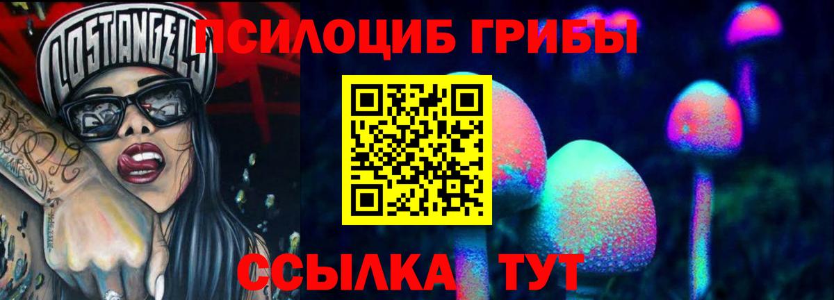 Псилоцибиновые грибы Psilocybe  Псилоцибиновые грибы Psilocybe  Киреевск  Вход с VPN 