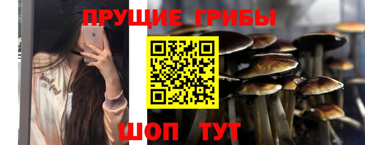 купить закладку  Киреевск  Галлюциногенные грибы ЛСД 